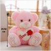 Veilleuse Peluche Ours Saint Valentin